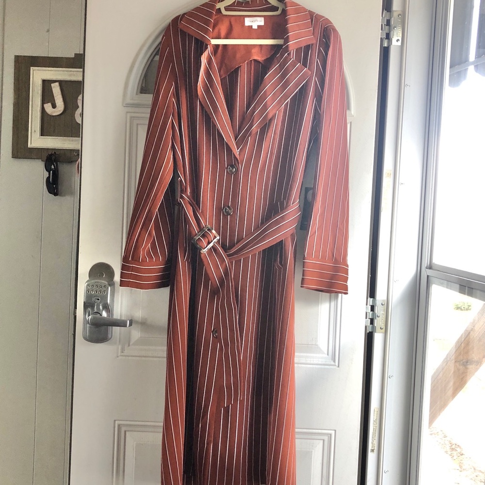 Privacy Please rust stripe women’s fall dress sz L
